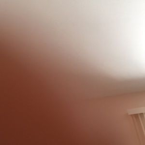 Meet your Posher, Jr